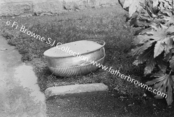 FLOWER POT AT MILLTOWN PARK